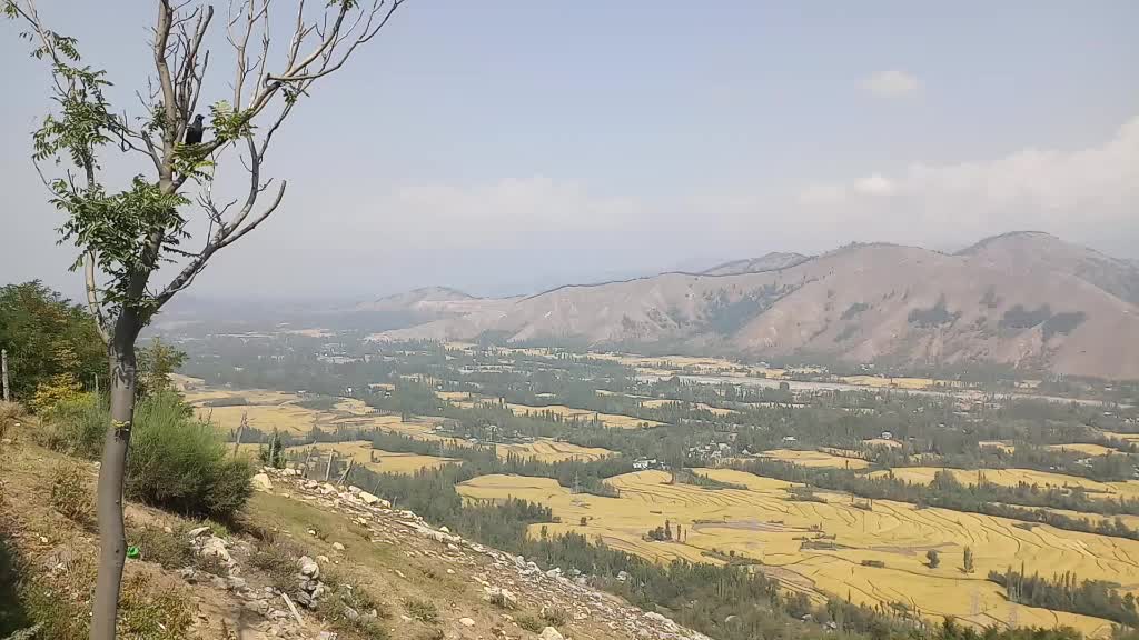 @Mahi Mahesh