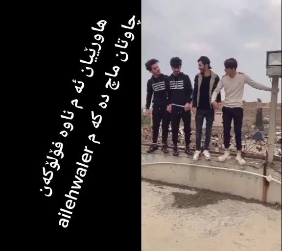 @rebomalikm