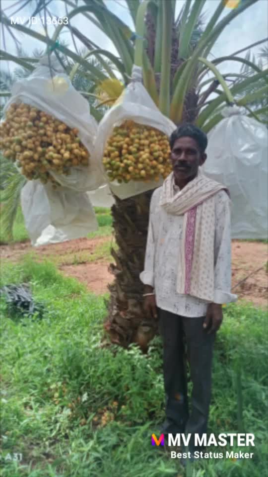 @Baladevji