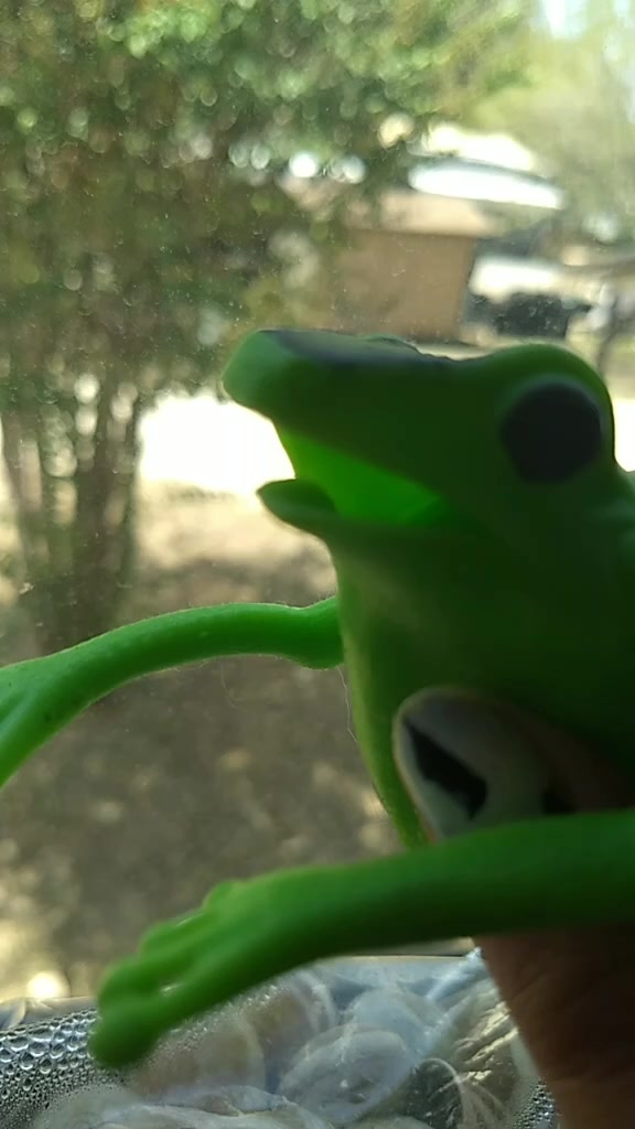 @🐸🐸🐸