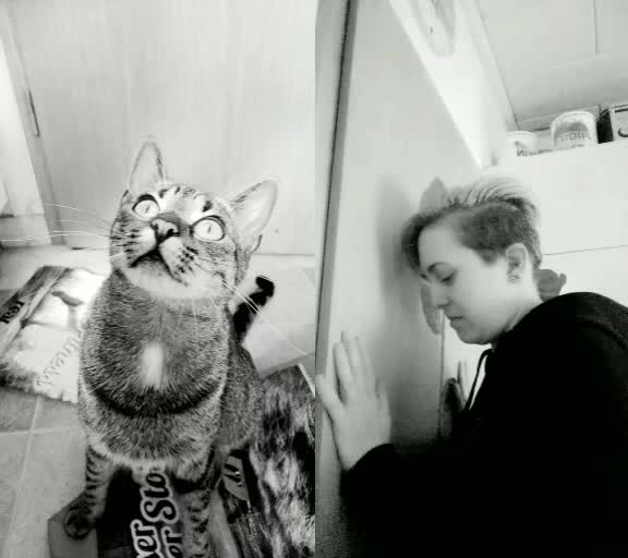 @😸 Alex 😸