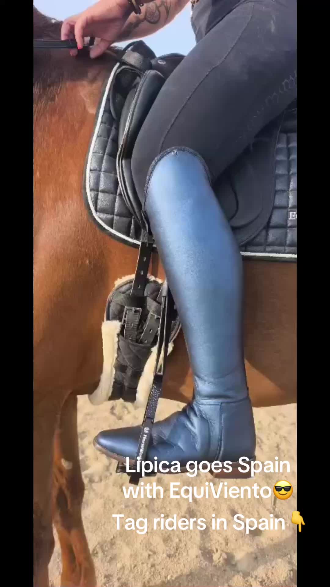 @Liesbeth-EquiViento🐴🇪🇸
