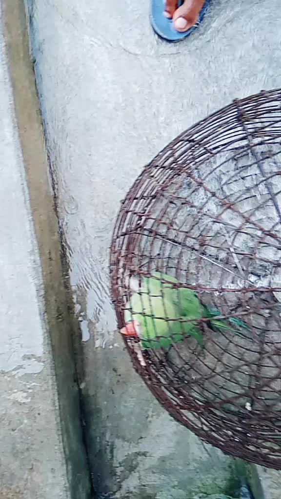 @Soumya Mondal