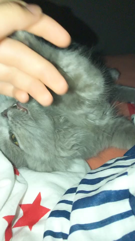 @Lili🐱❤️