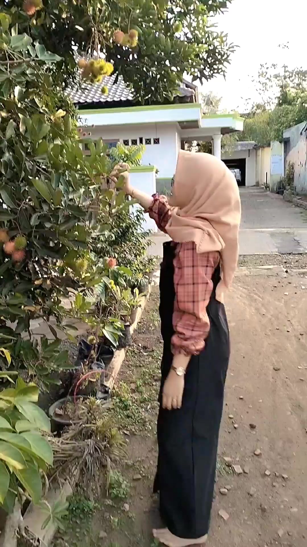 @hamba_Allah✨