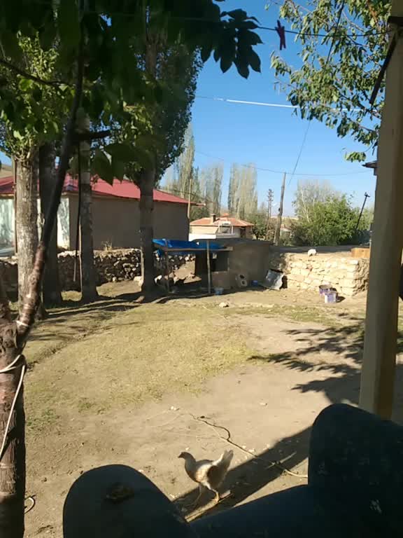 @Ergün Alakeyik