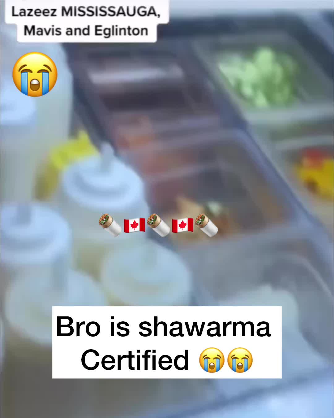 @Habibi Food Finds