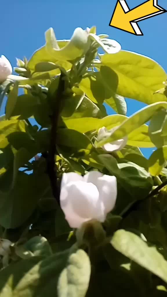 @fatma_kaya7676