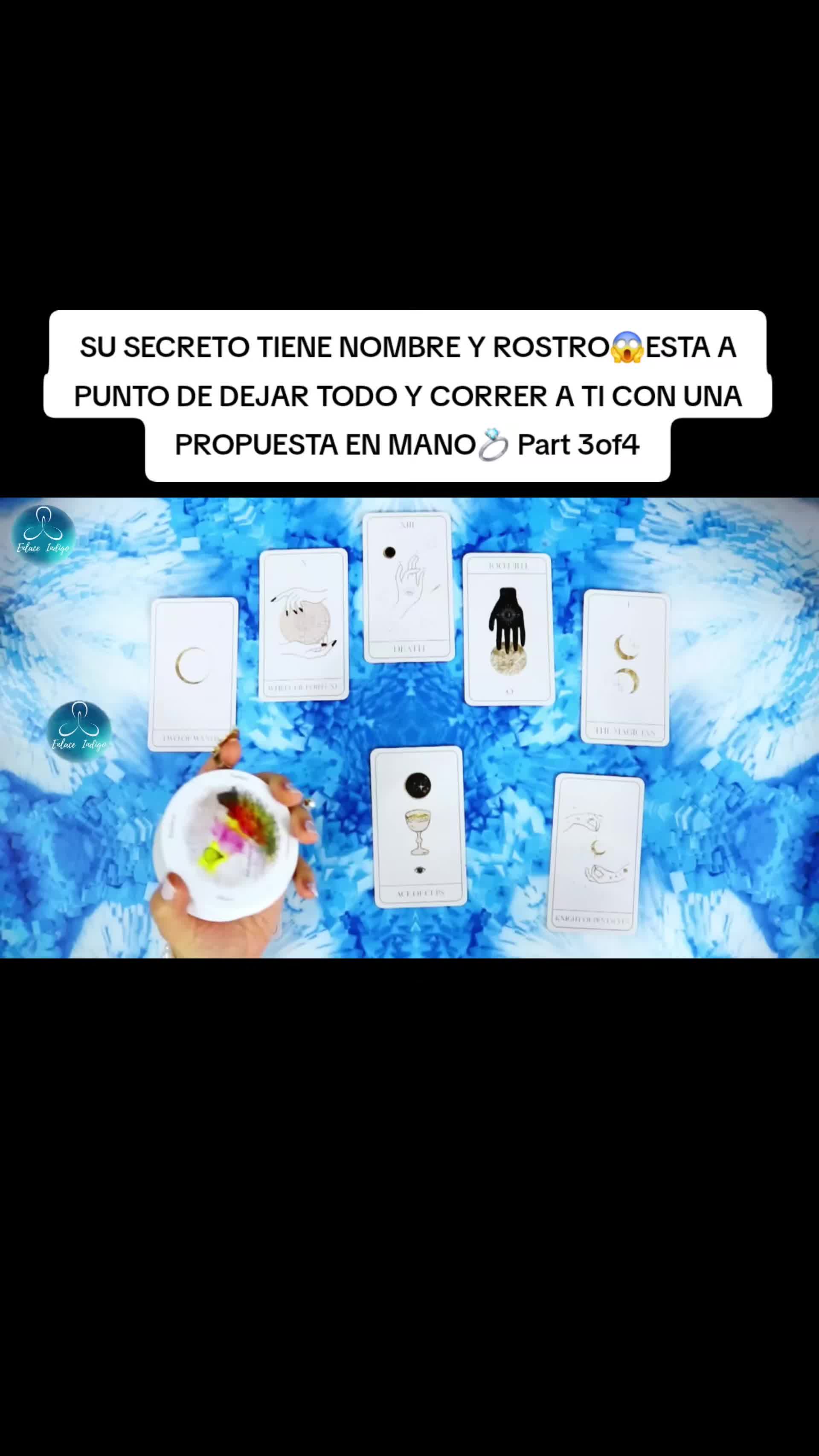 @Vera Root