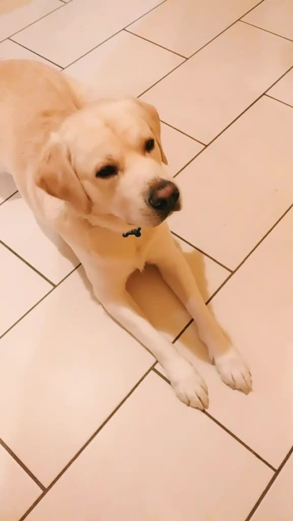 @๐__blackjack__๐