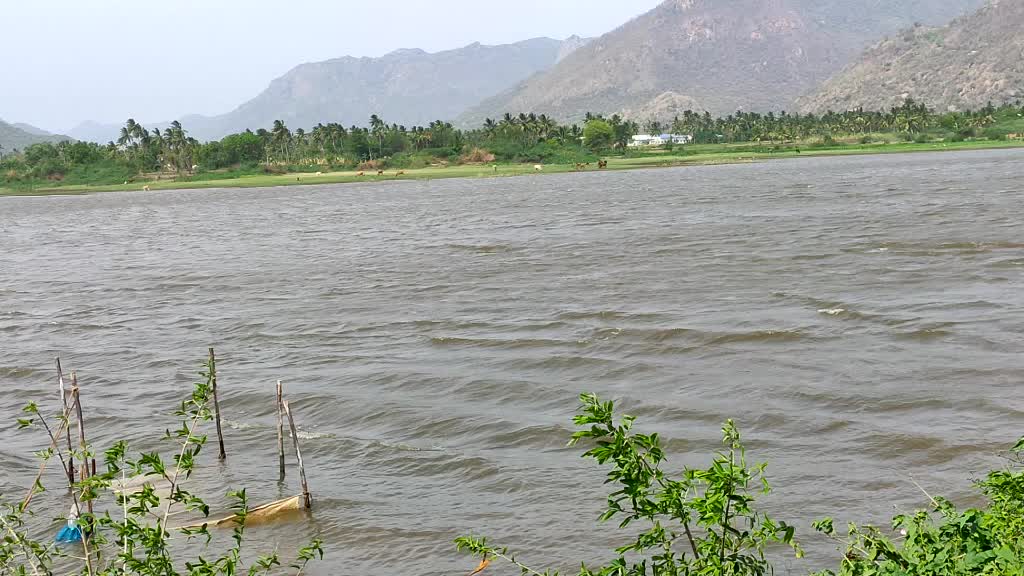 @bala jilla