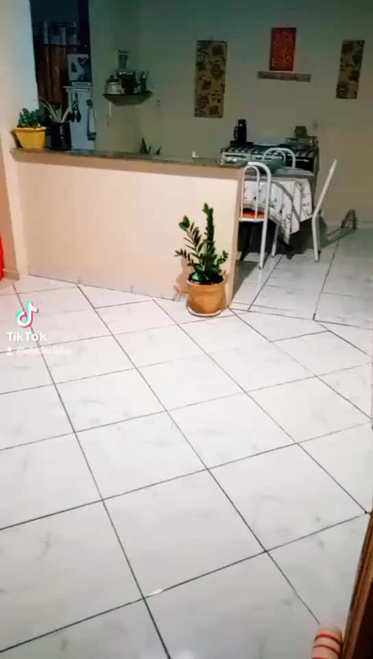 @Silvana Silva