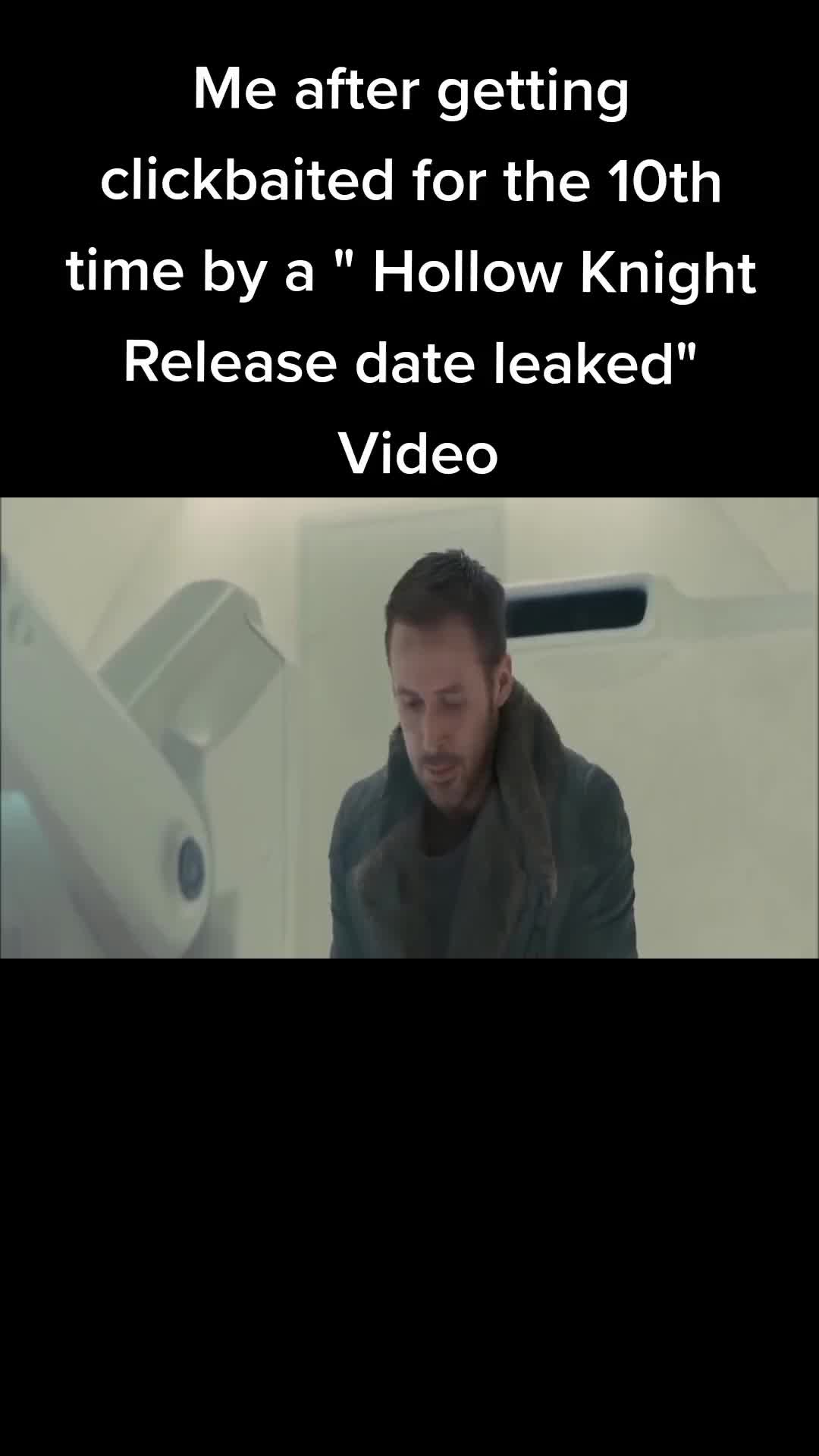 @Silksong memes