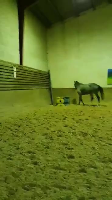 @VolskiaBey