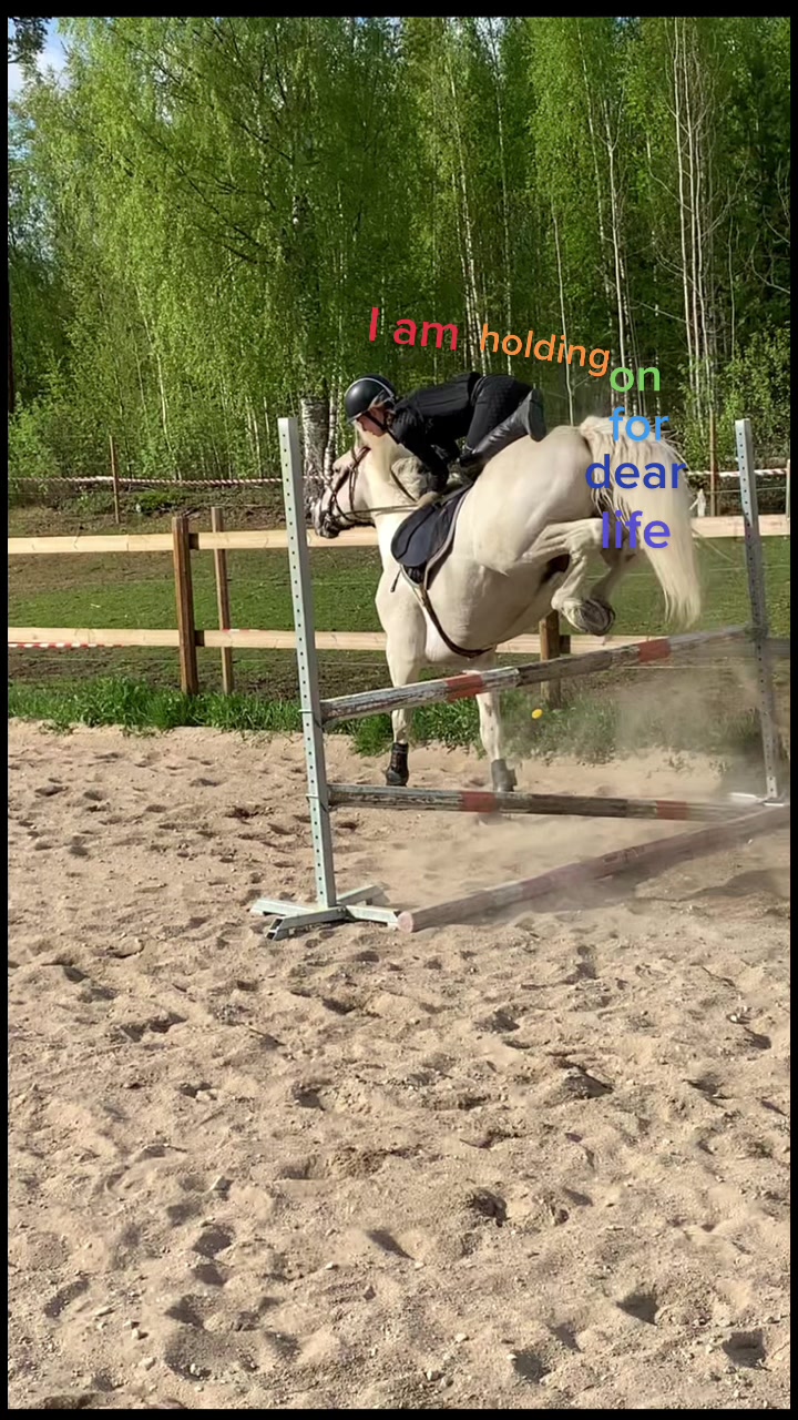 @𝐻𝒪𝑅𝒮𝐸𝐿𝐼𝐹𝐸💘