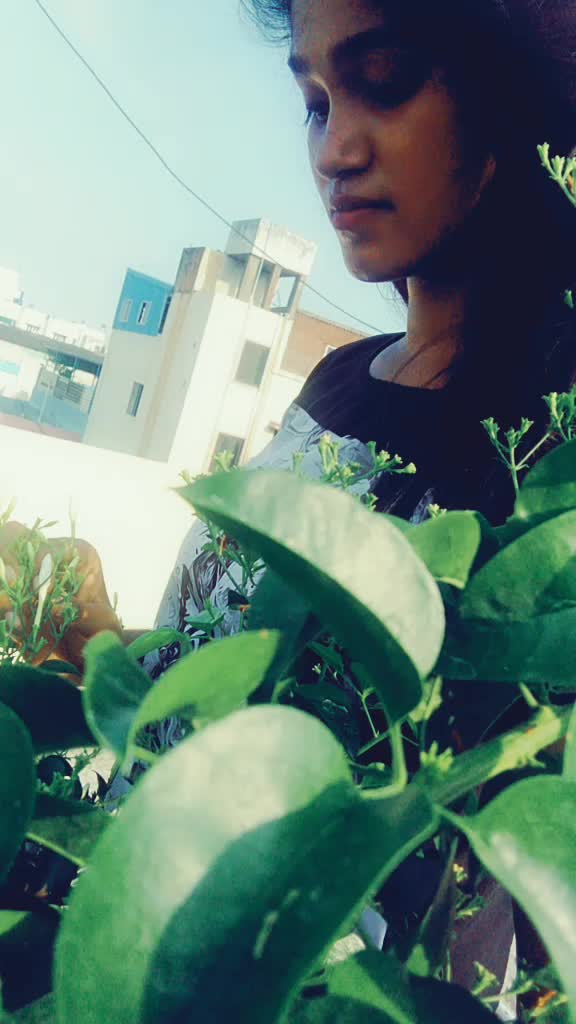 @sanamakutty99