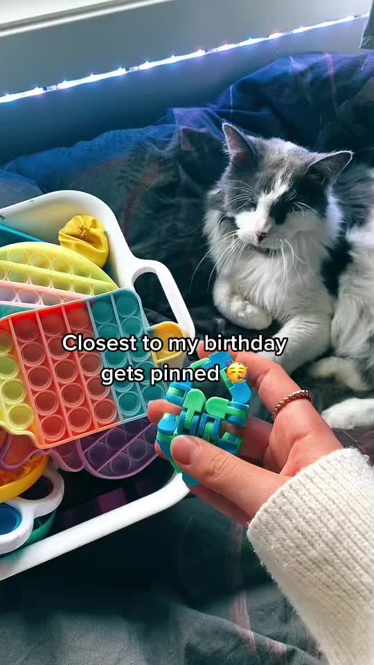 @🏳️🌈