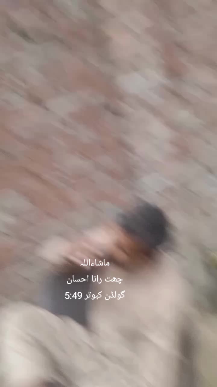 @Rana. prince. 00235h00ranaharo