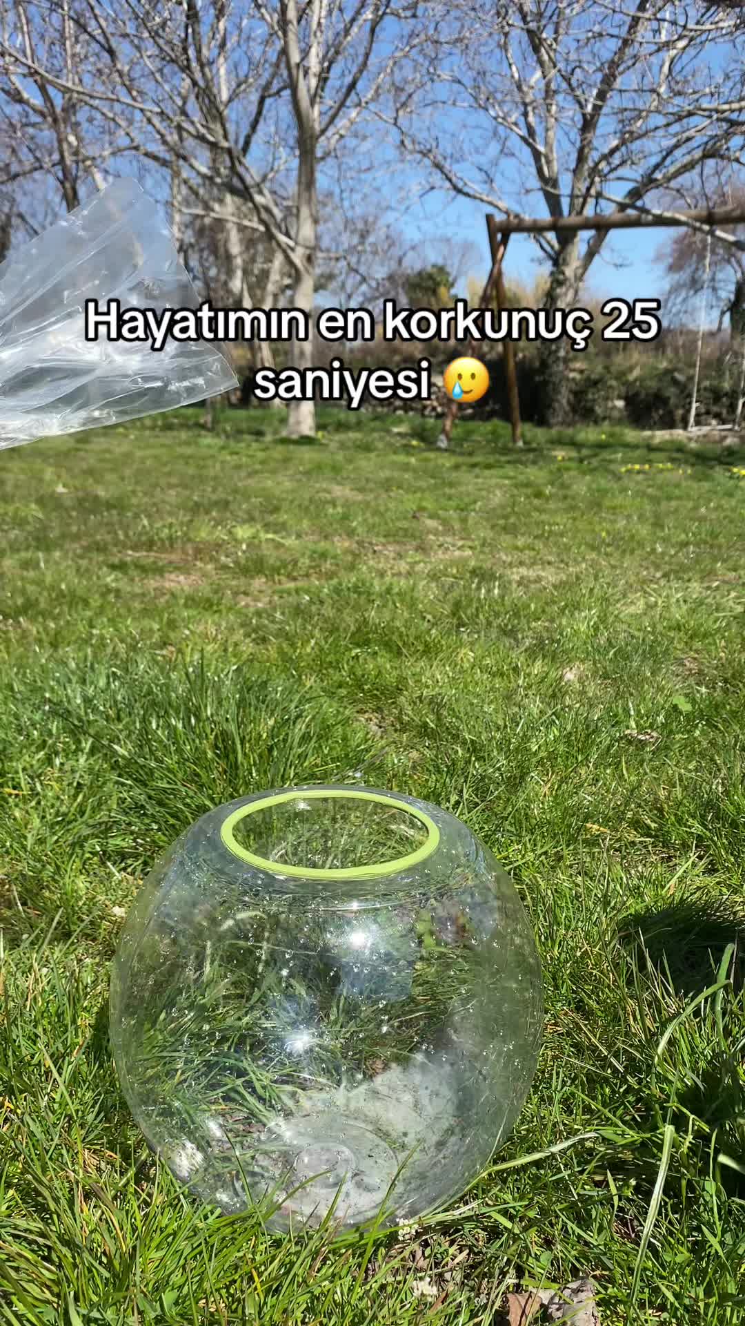 @mâsiva🍉