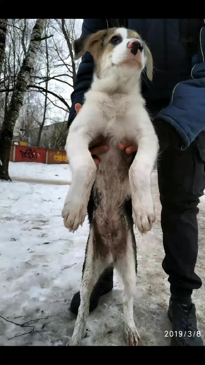 @Кот