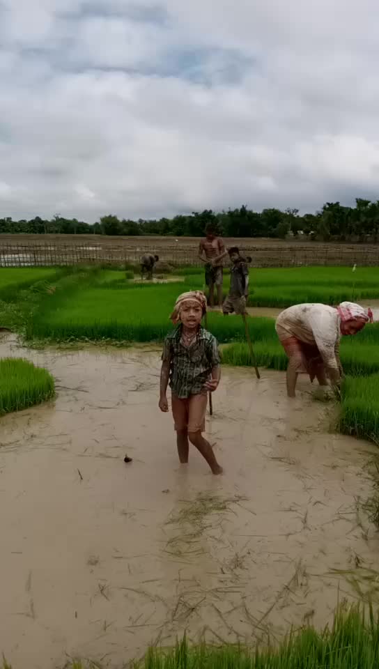 @brishti gogoi