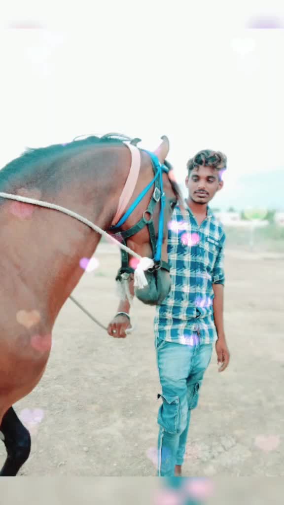 @mokha Ranjitsinh