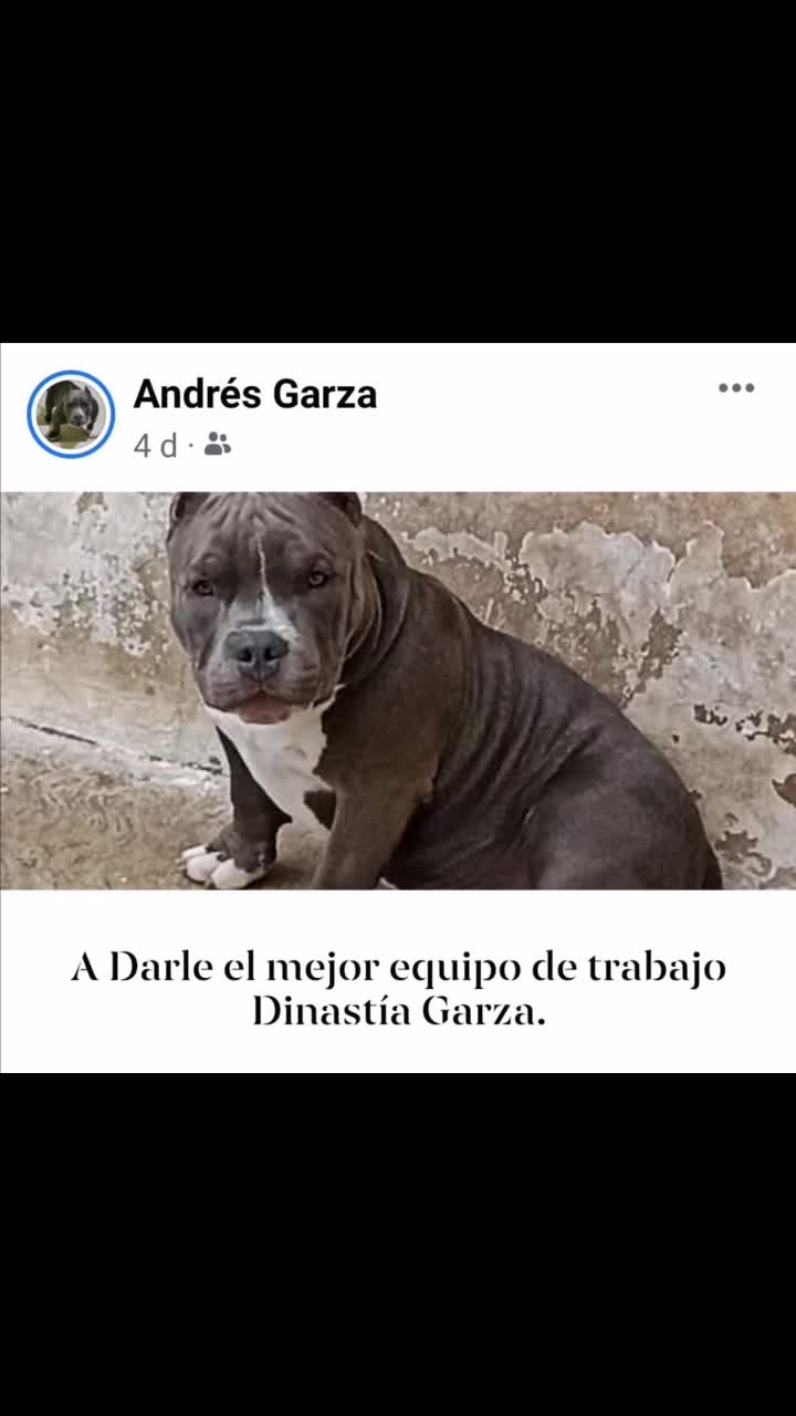 @Garza Bulls