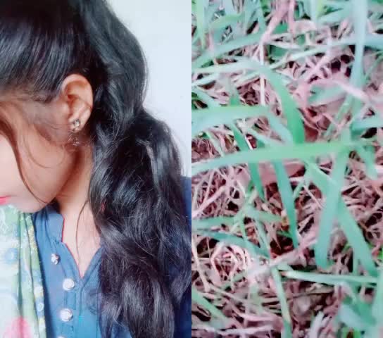 @puspa