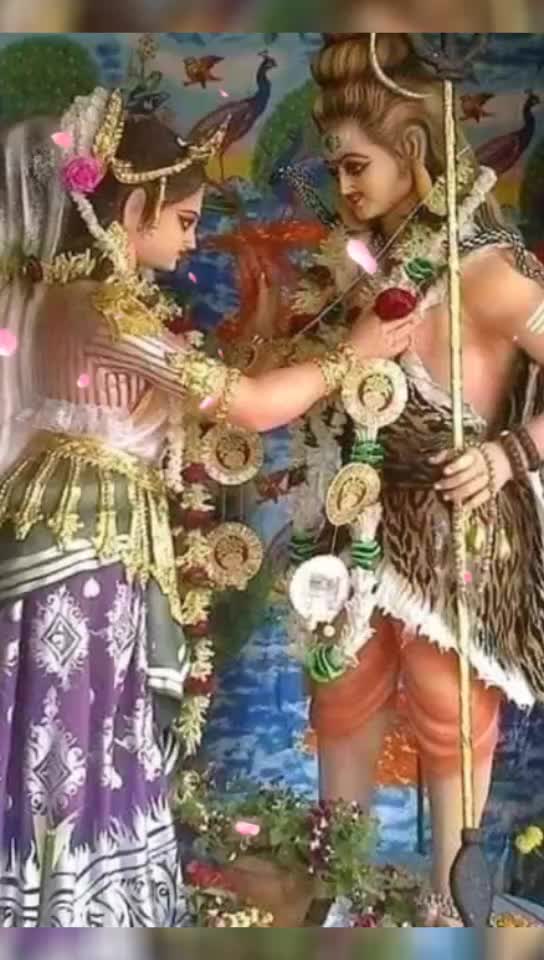 @Rajendra Saini 8995