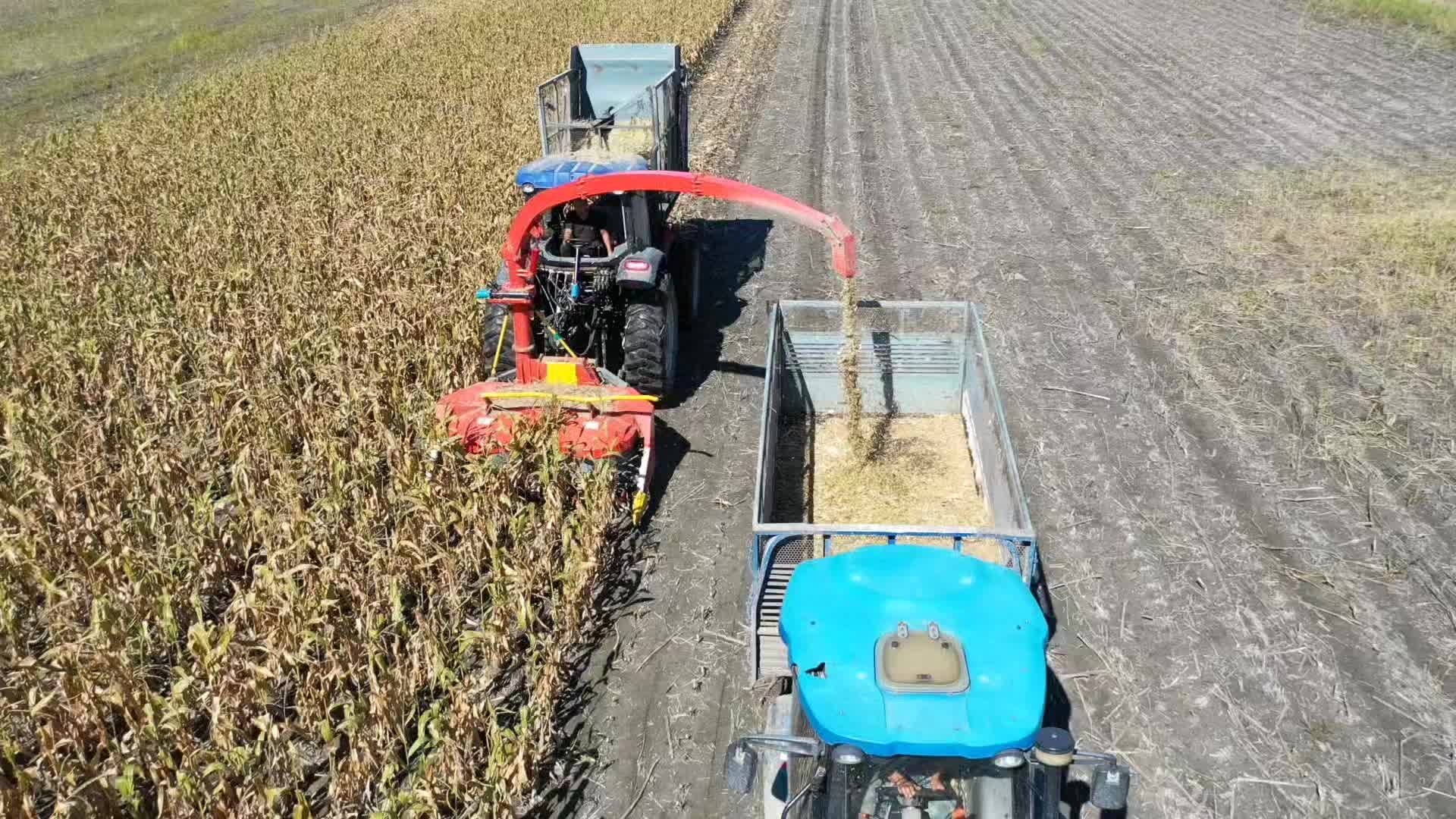 @Power Tiller