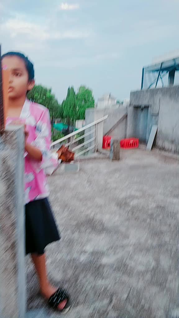 @Aayush Harane 221133