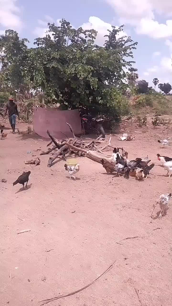 @user565810775125