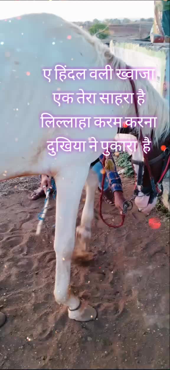 @Aslan Khan786