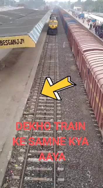 @yogita Saxena