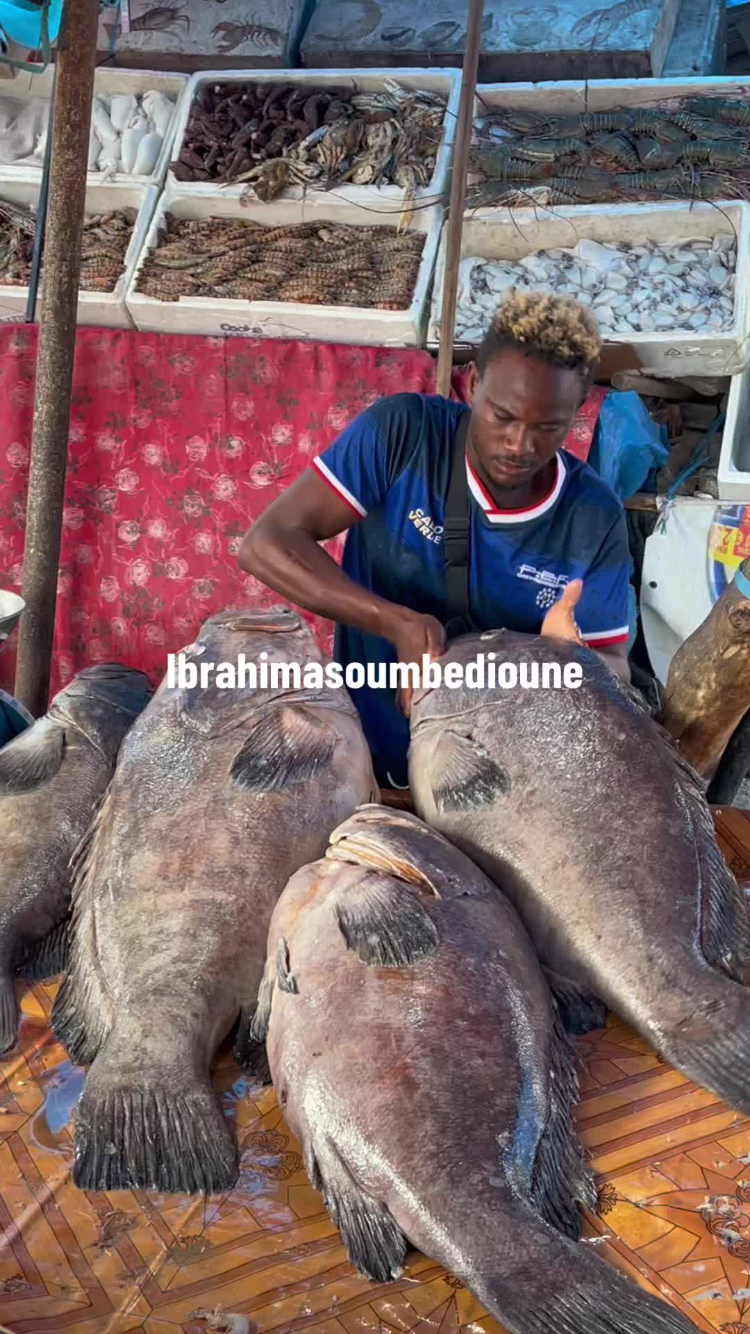 @Ibrahimasoumbedioune0