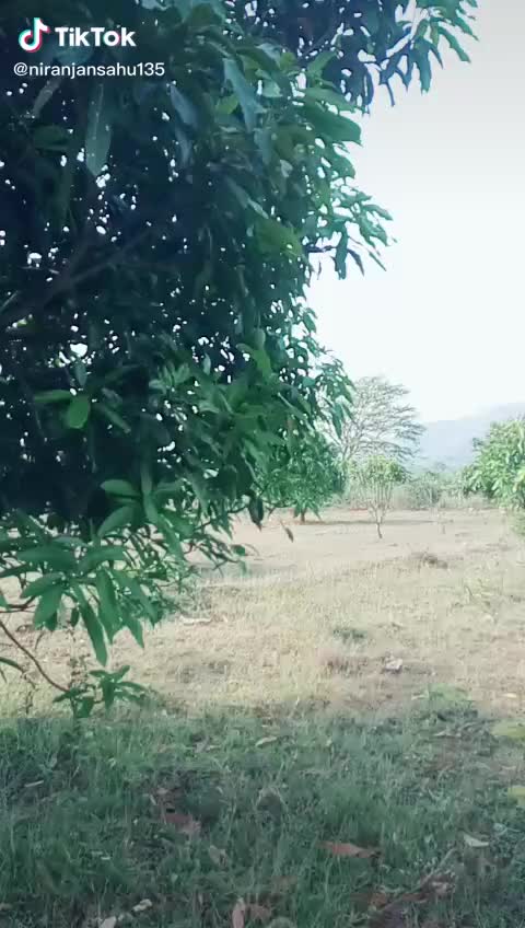 @bapun sahu