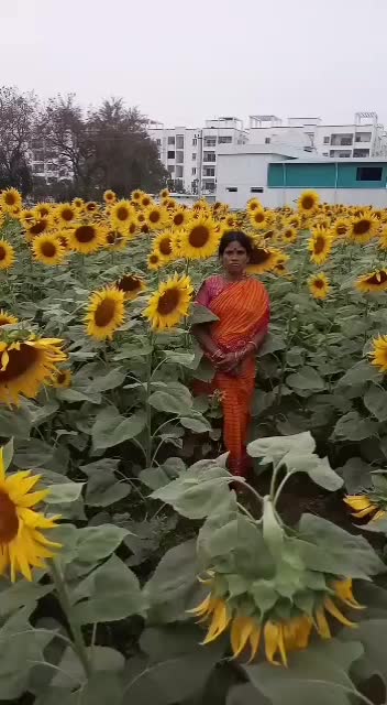 @veeramahesh192