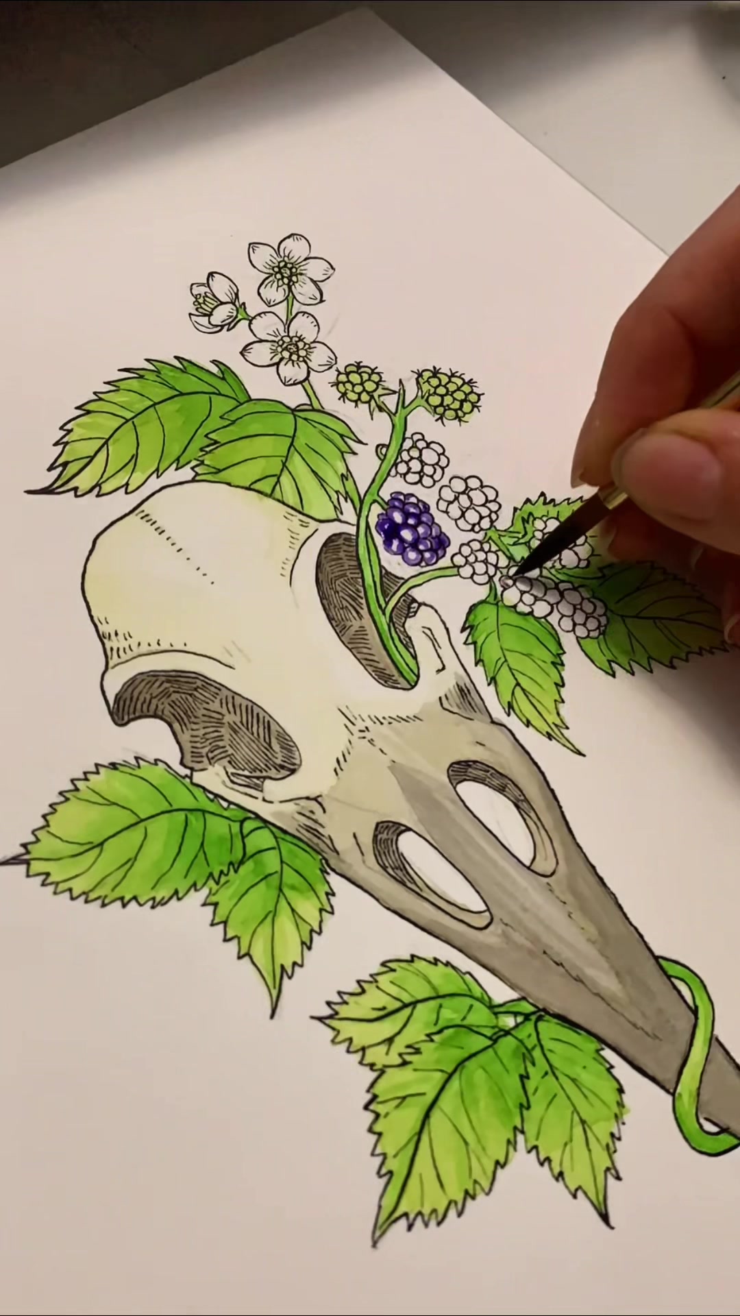 @poptortstudio