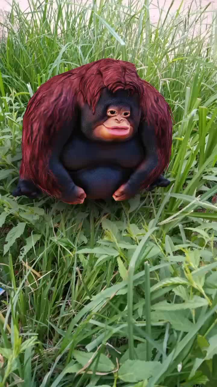 @g naik