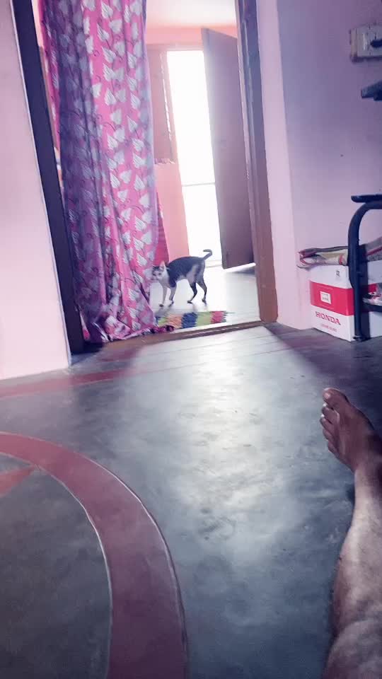 @SARAVANAN