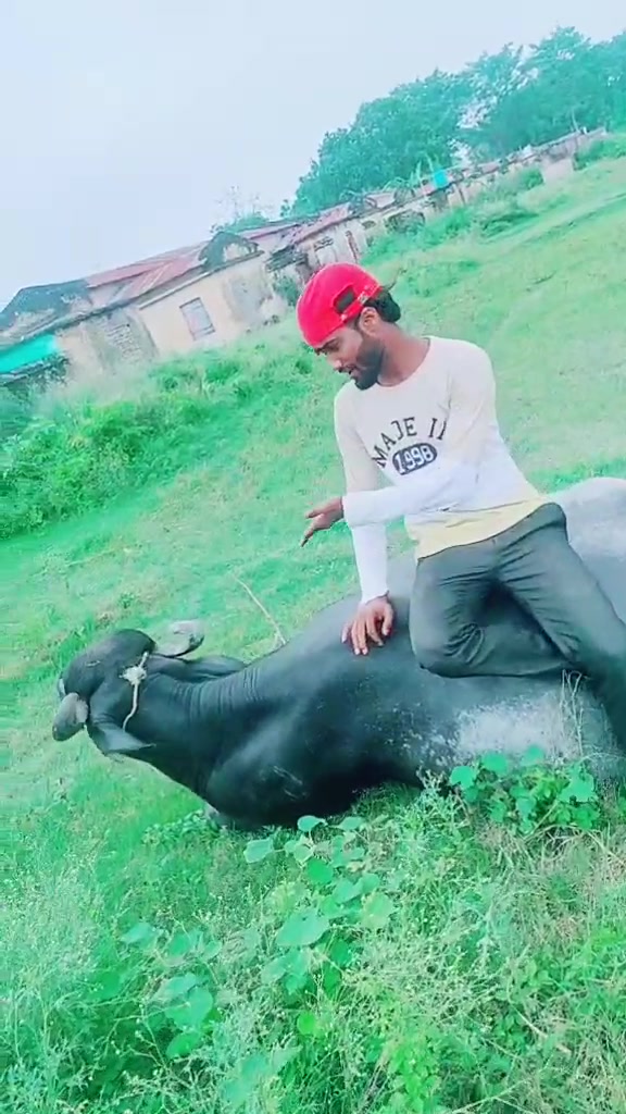 @Saiphul Ansari Saif