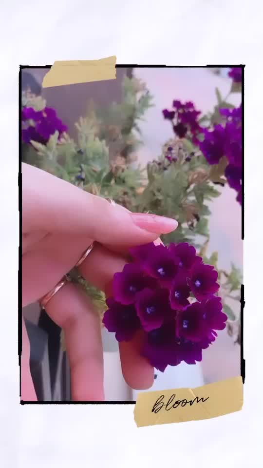 @SPD