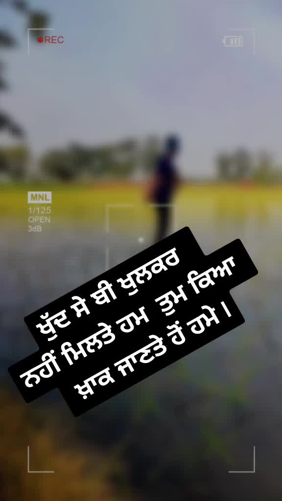 @insha