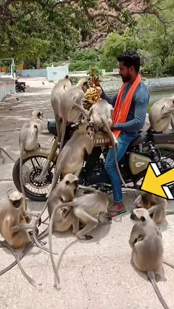 @ಕೆಚ್ಚೆದೆ ಕನ್ನಡತಿ ಅನು