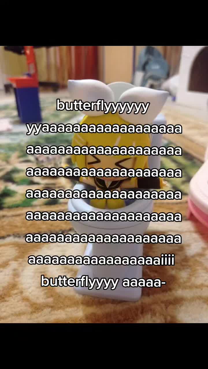 @amoagumi