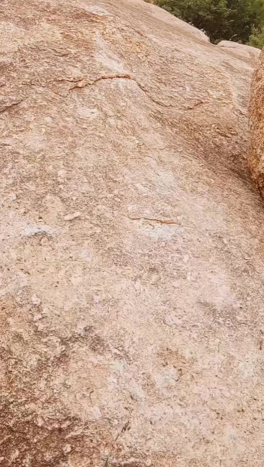 @Mallikarjuna Yadav