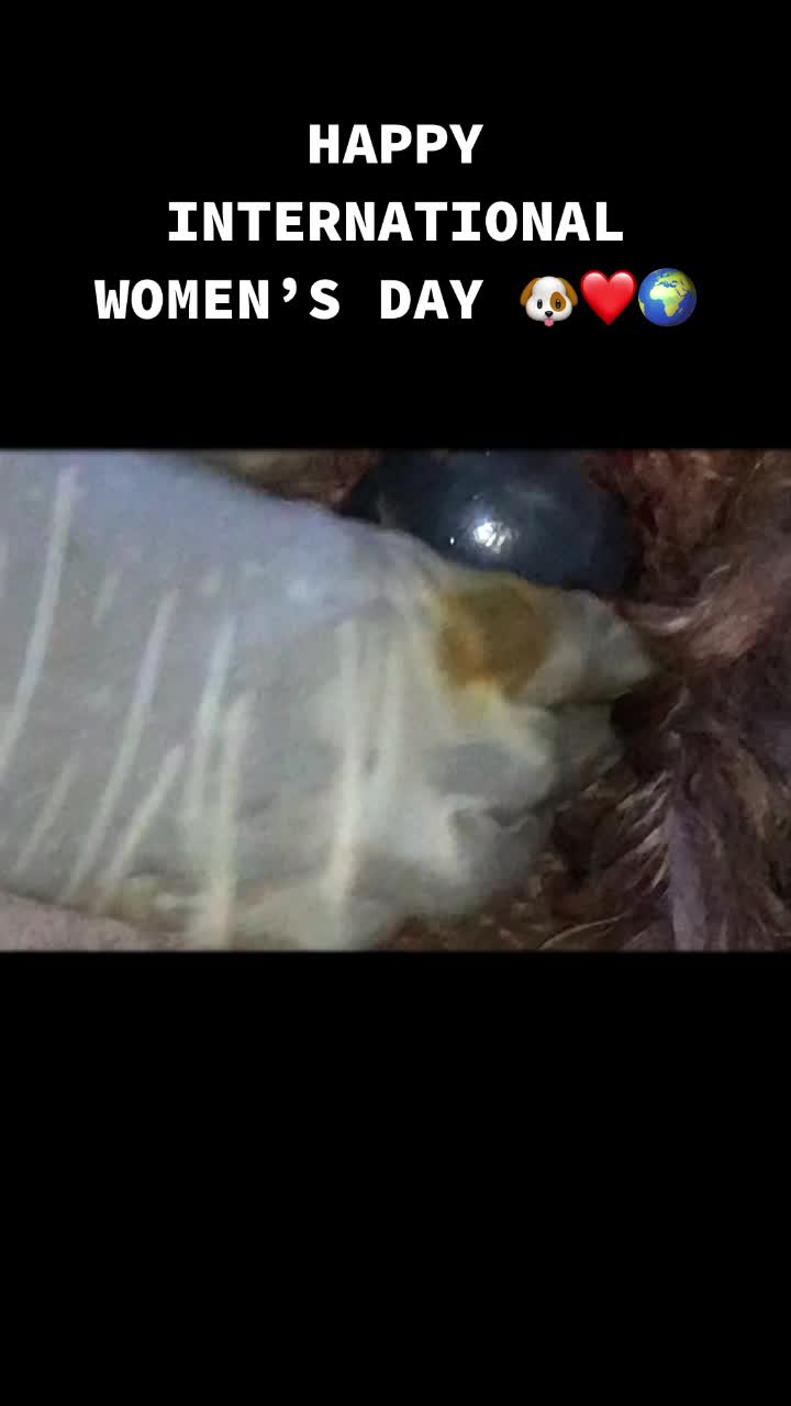 @Afua_Obiyaa💜