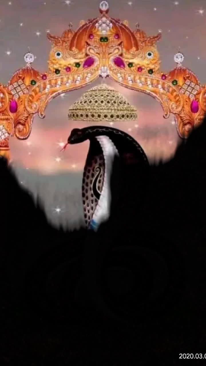 @Divyesh Thakor142