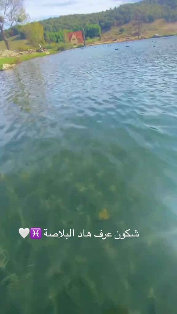 @امازيغي حر ♓️