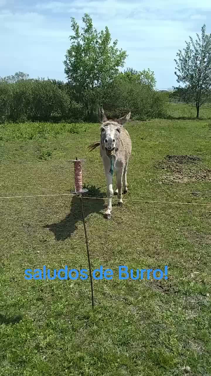 @MARIANOF_AL_NATURAL